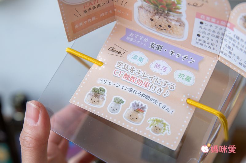 日本 KISHIMA - CT觸媒 開運消臭仿真多肉盆栽-RELAX-Hanna (L(20.5x15x12cm))