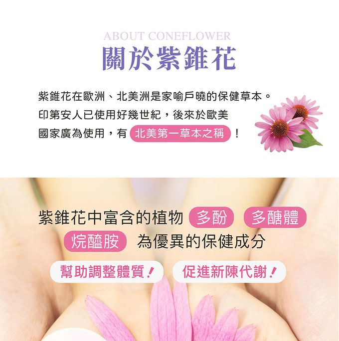 花賜康 - 紫錐花魚腥草EX噴劑 (單入)-30ml/瓶