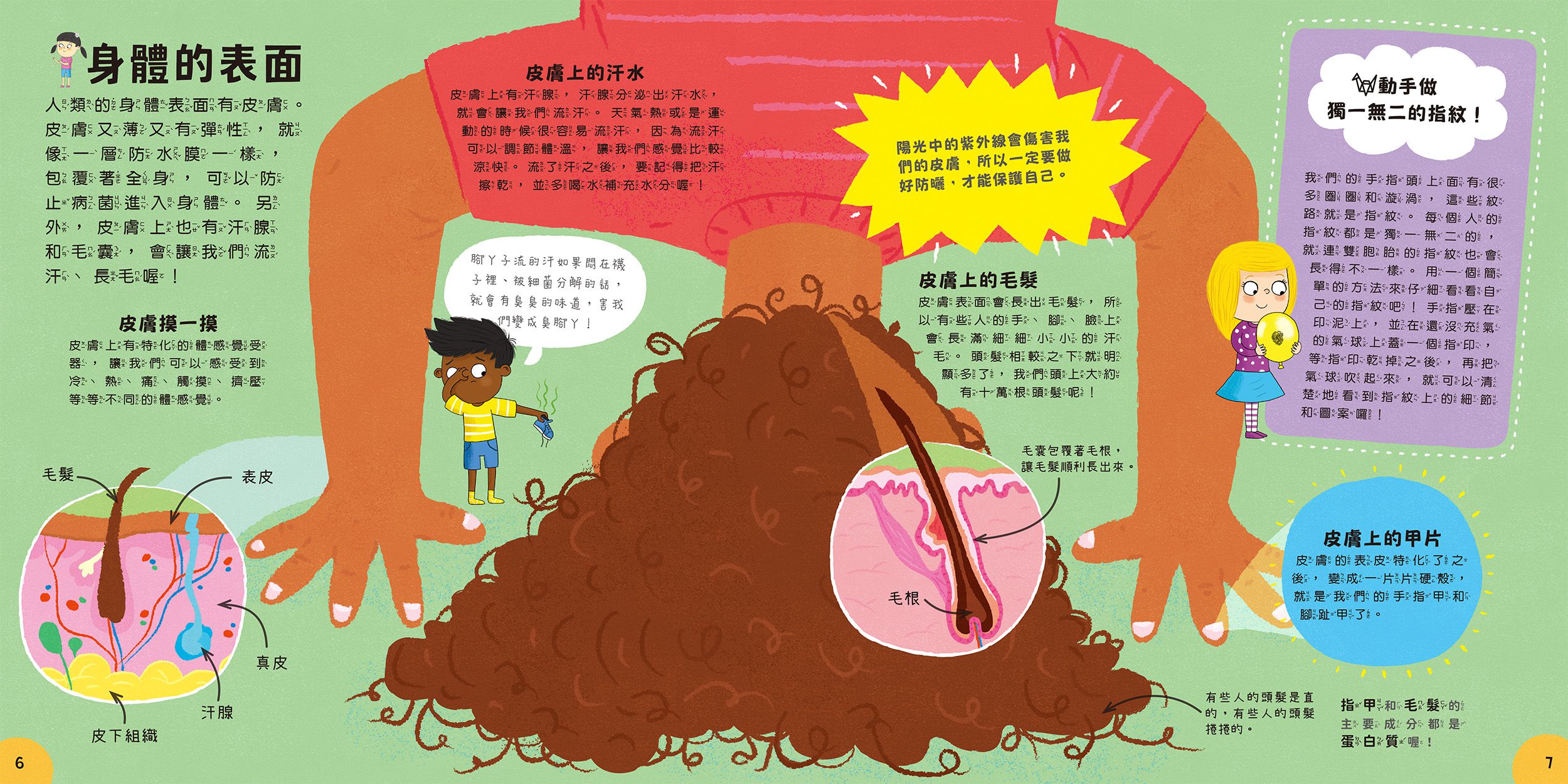 小小知識家的百科書套書10冊(書盒版)