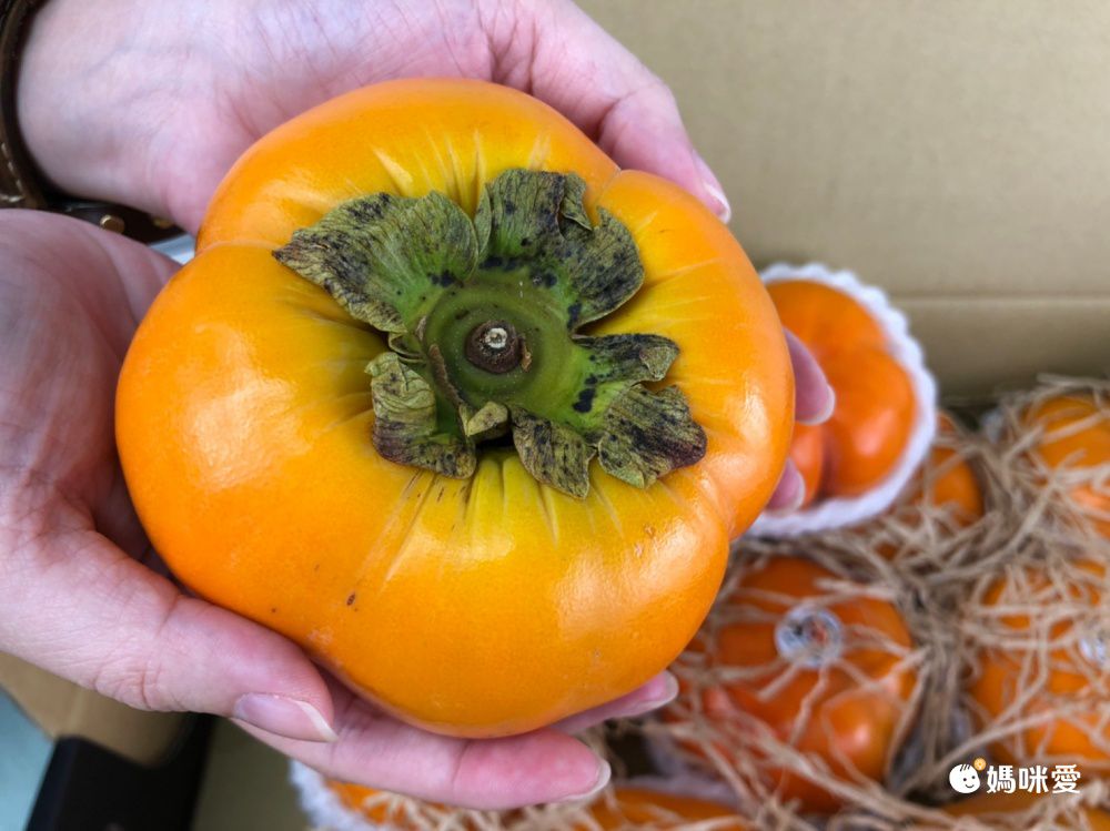 免運送到家！【好柿到】比手掌還大的10A特級高山甜柿❤