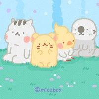 用戶頭像