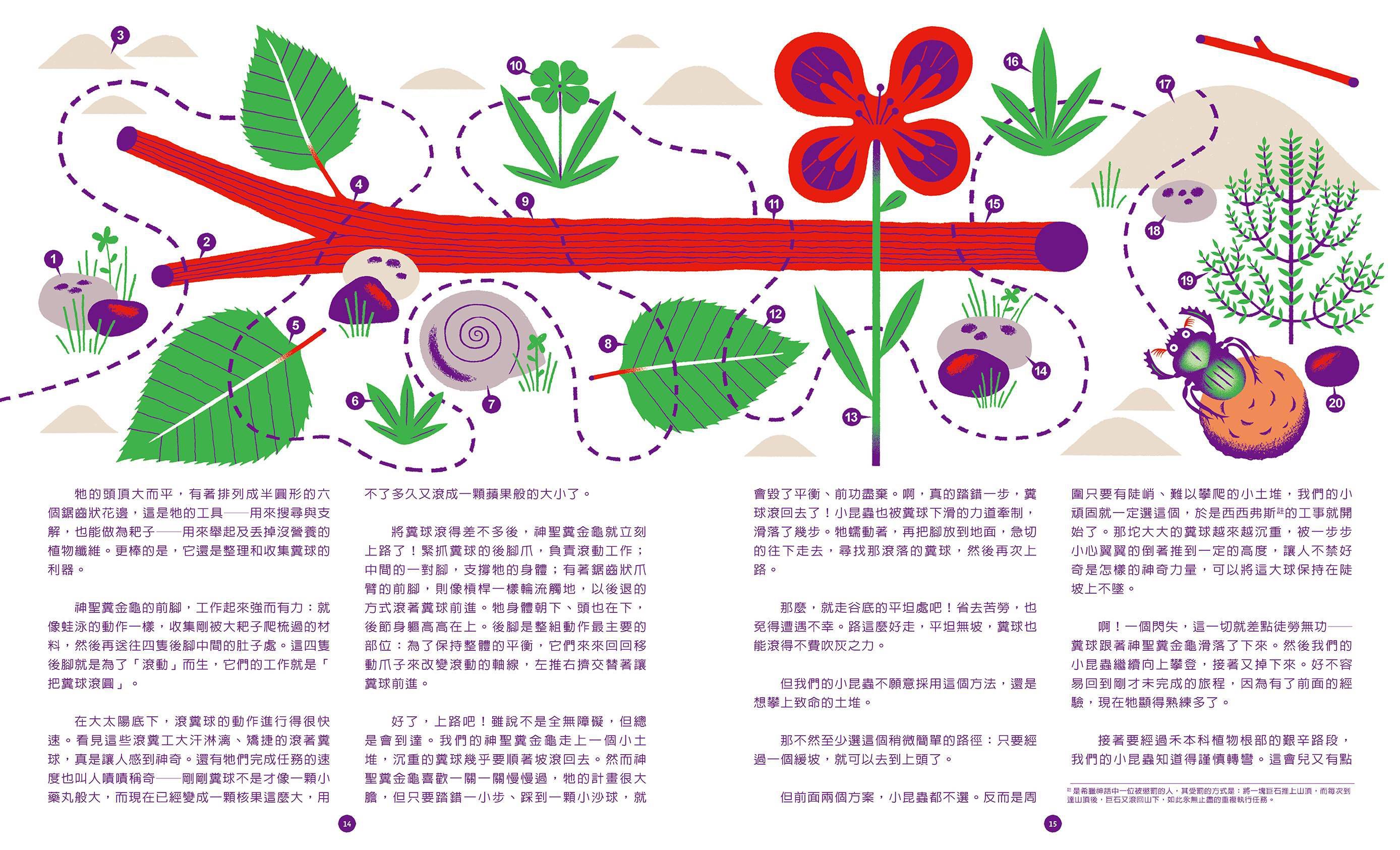 法布爾的微觀世界：昆蟲觀察X科學實驗X自然書寫