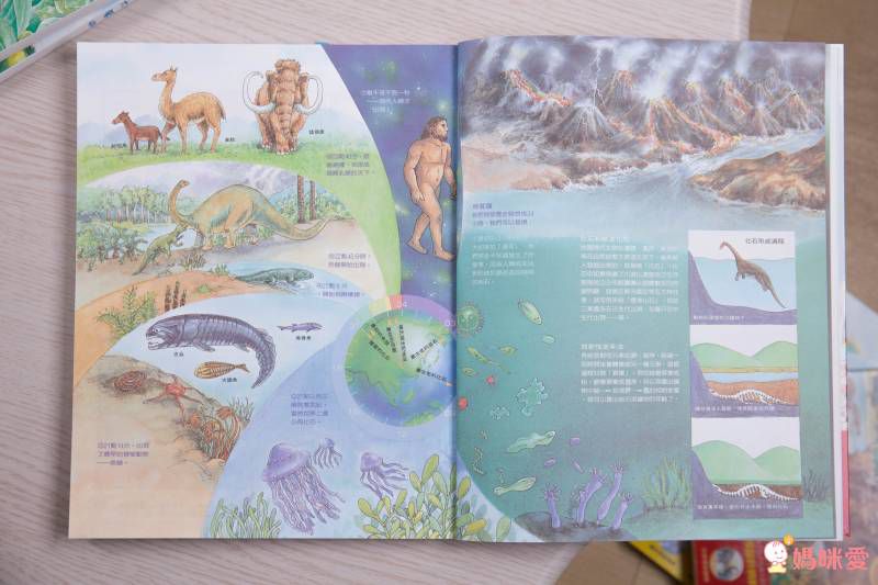 東方套書開箱☆經典必收☞ 福爾摩斯、世界經典文學、科學小百科