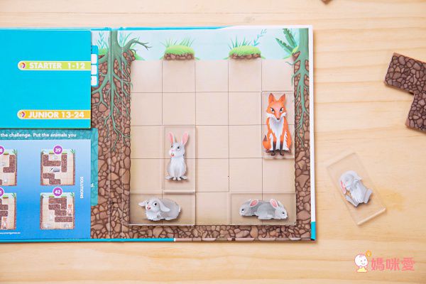 Miss Jill x Evan哥 專屬團購 ♕ 比利時SMART GAMES益智桌遊