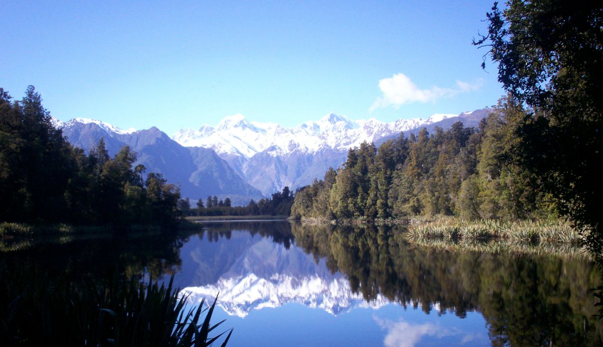 市售唯一麥蘆卡蜂蜜！蜂膠液/潤喉糖/乳鐵蛋白粉