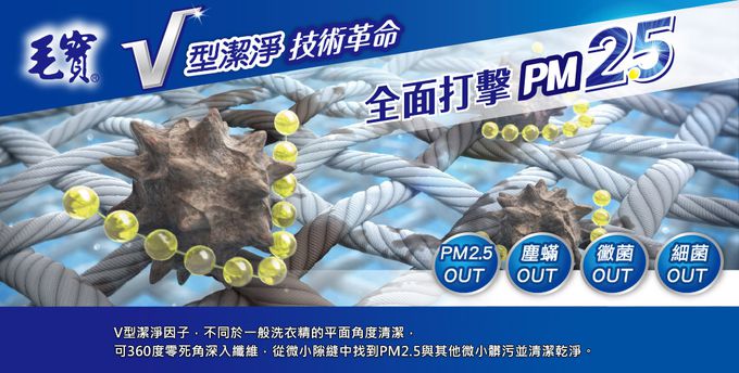 毛寶 maobao - PM2.5除霉防蟎 抗菌洗衣精-2200g