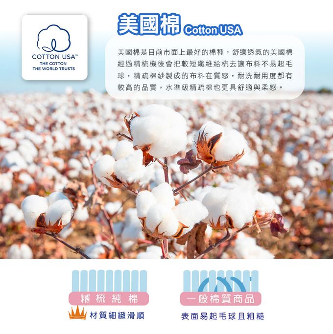 鴻宇 HongYew - 單人薄被套床包組 防蹣抗菌100%美國棉-迪迪龍-黃