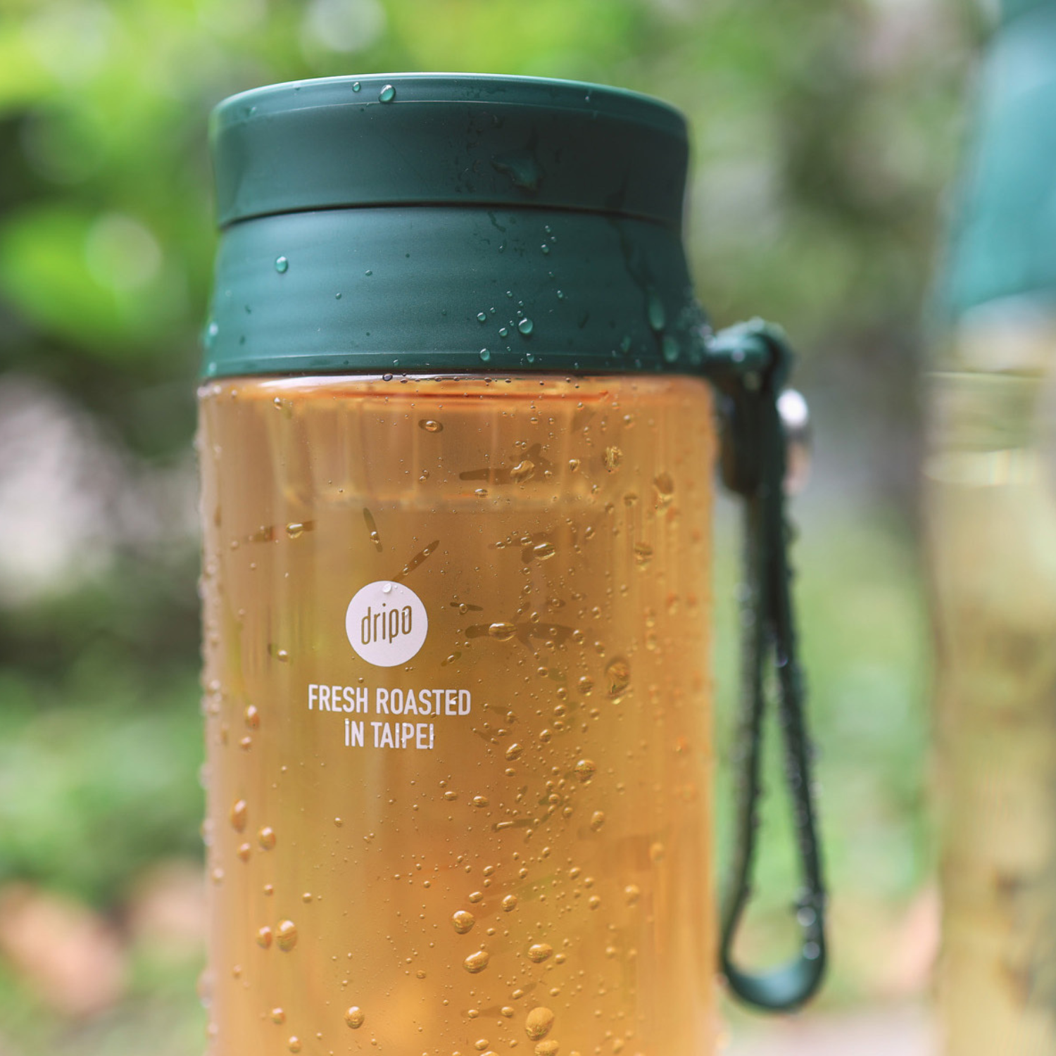 滿額贈好禮【Dripo】北海道紅茶牛乳/德國lighthouse氣泡飲