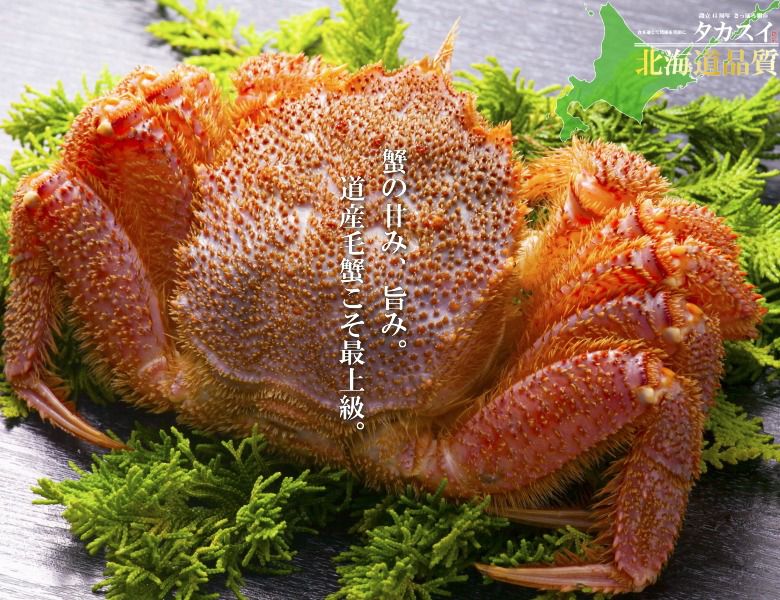 高橋水產 - 日本頂級鮮美毛蟹-500g ±10%