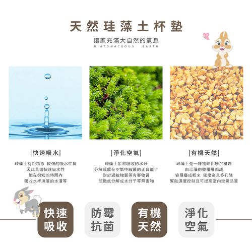迪士尼 Disney 兔子系列【方形休息桑普】珪藻土軟式吸水杯墊 吸水墊 台灣製造二入組10X10X0.5cm