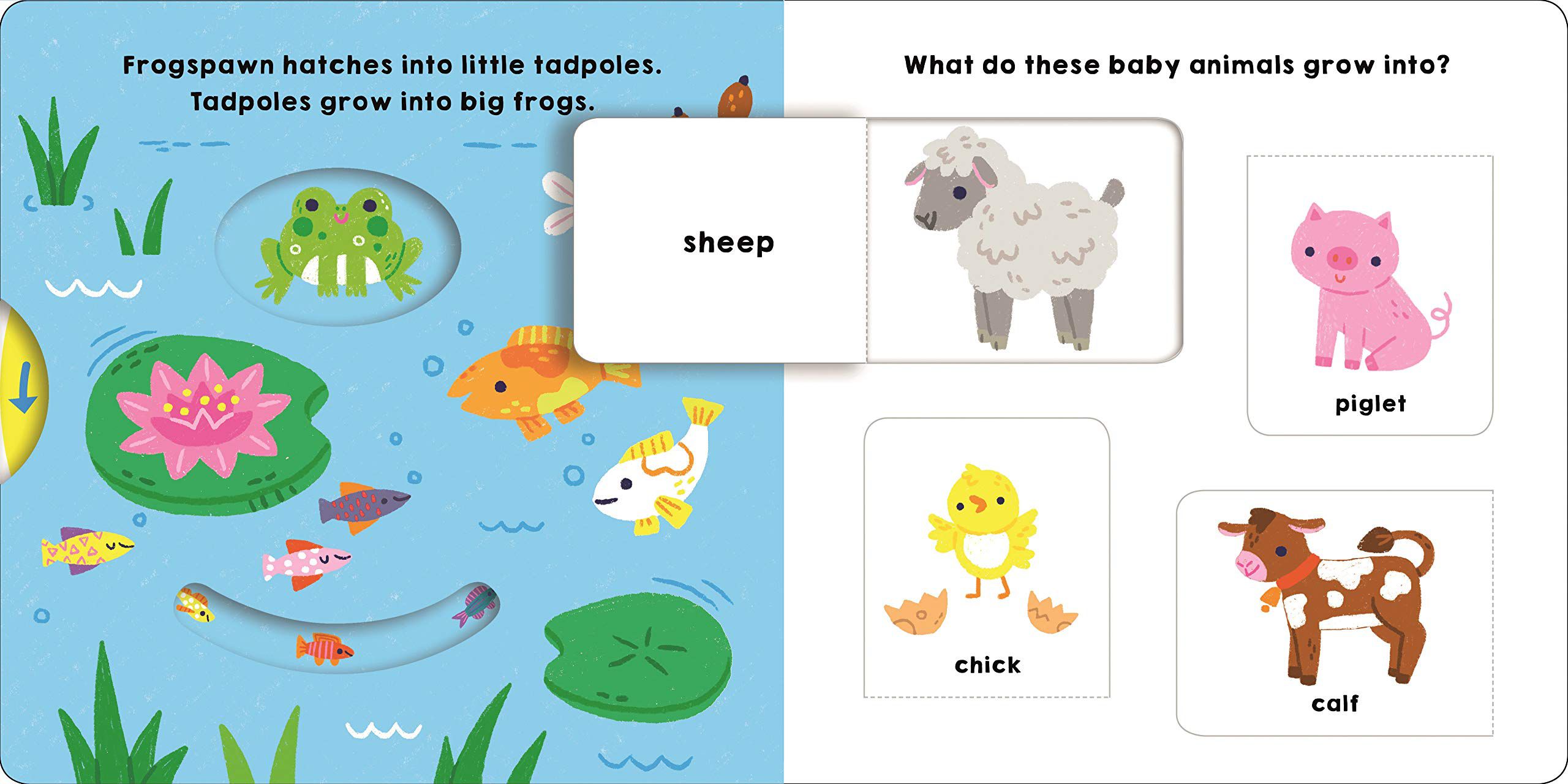 My Little World: Watch Me Grow 我的小小世界：跟著我長大（操作書）