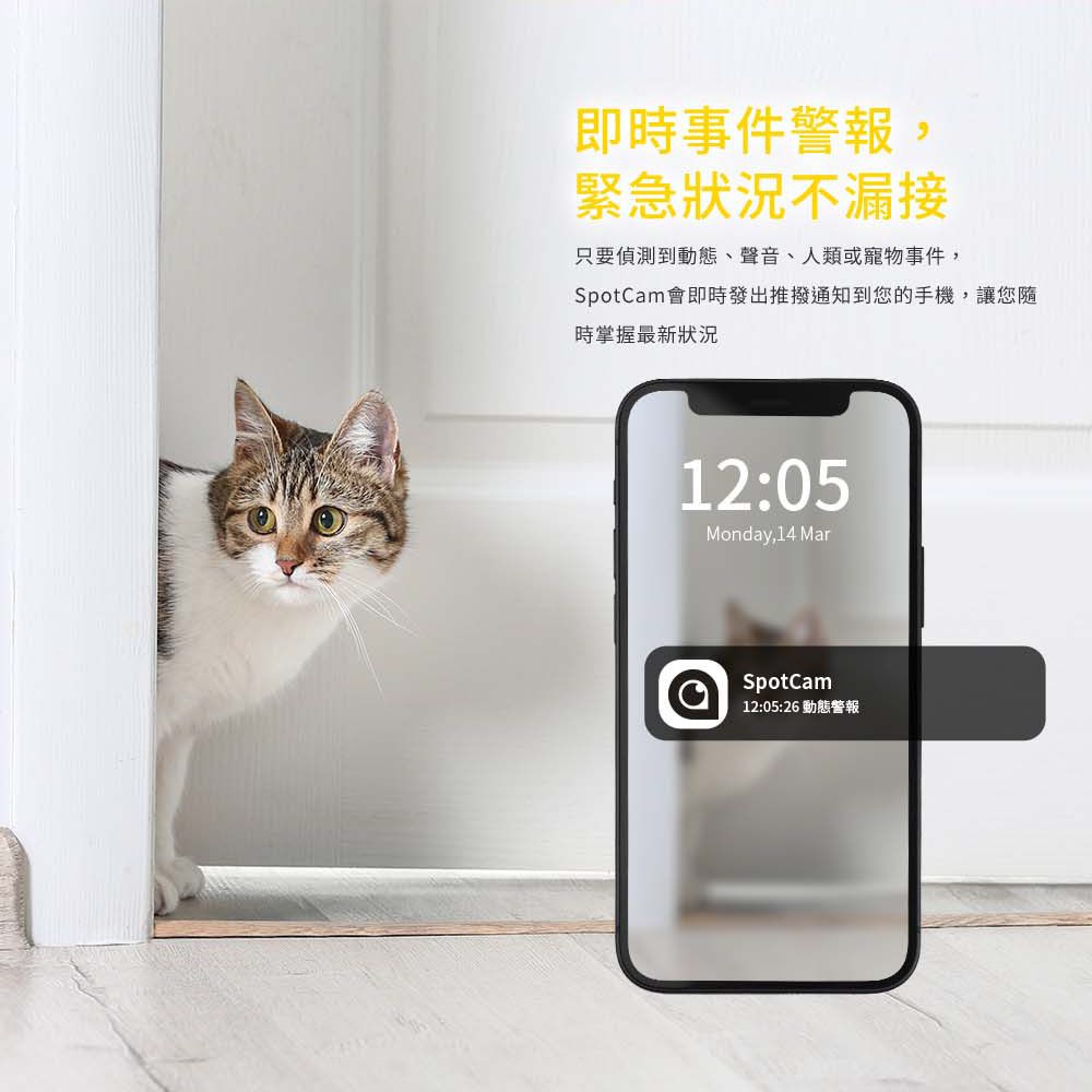 Mibo + 一年期AI毛孩照護組
