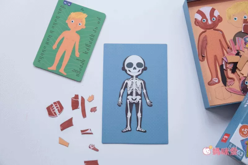 熱銷補貨到【西班牙 APLI 】初階拼圖／旅行遊戲卡／馬賽克拼貼