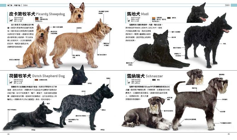 終極狗百科 (精裝 / 352頁/全彩印刷)