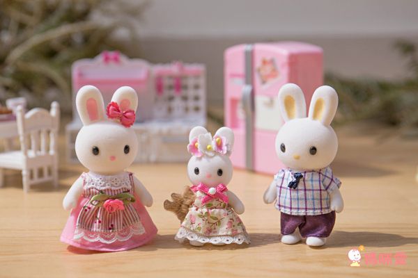 韓國【兔寶家族家家酒】正版授權，滿額送樂高收納盒