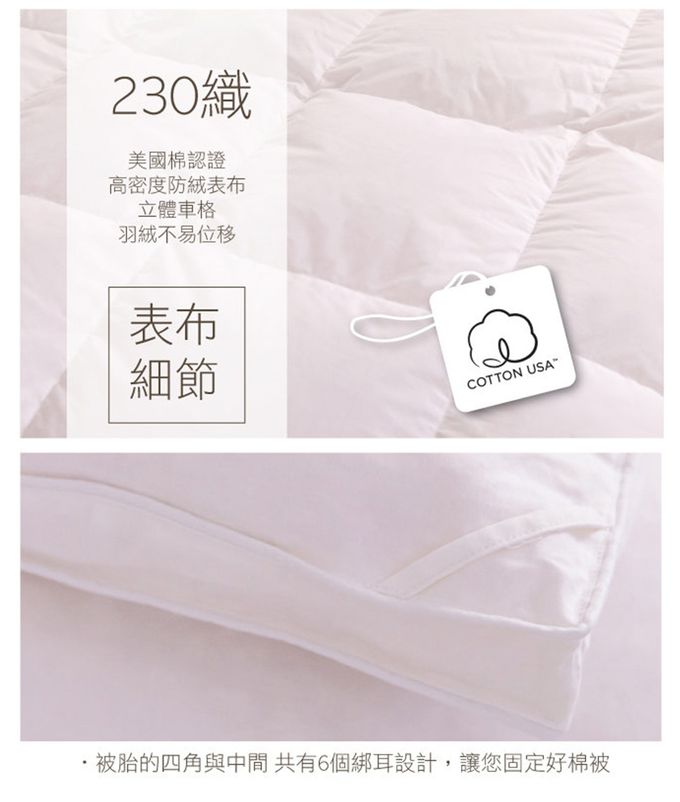 鴻宇 HongYew - 100%天然水鳥羽毛 愛情海羽絨被 冬被 美國棉-雙人6x7