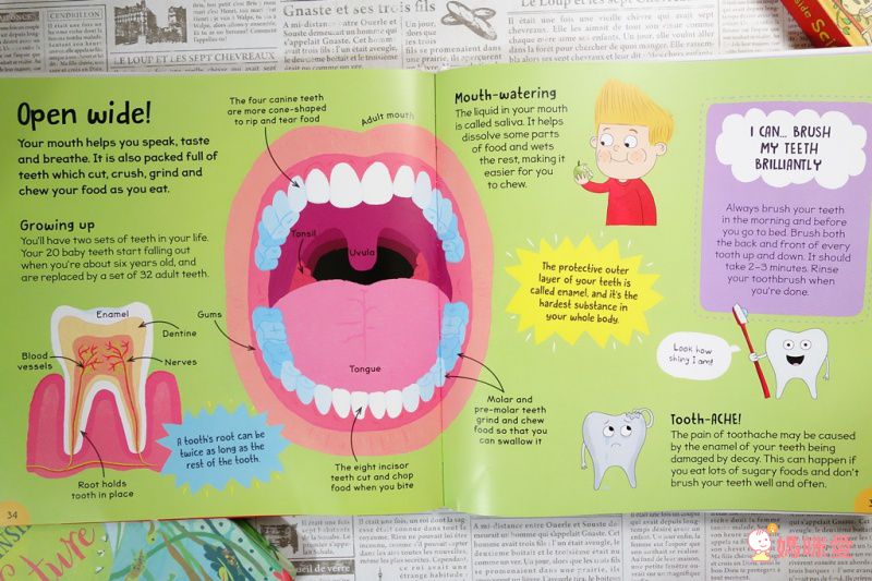 英國Miles Kelly、Usborne 看圖學英文 精美細緻畫風＋操作學英文