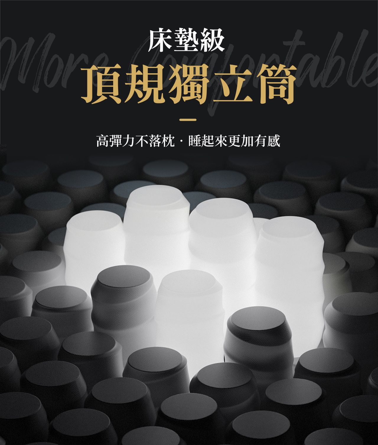 6D 獨立筒彈簧可水洗枕頭