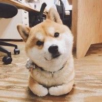 用戶頭像