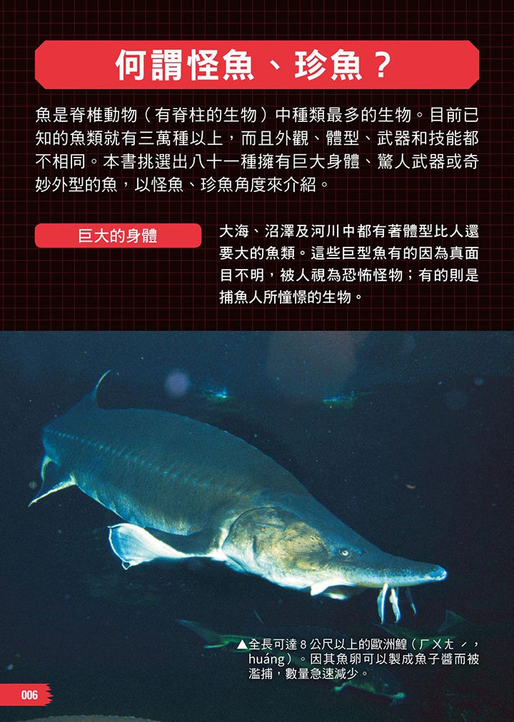 怪魚珍魚大百科
