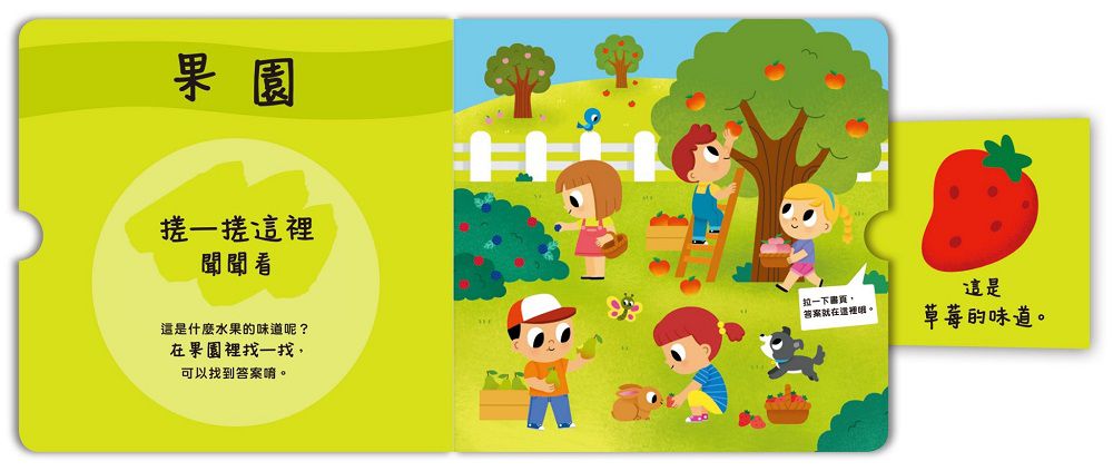 禾流文創 - 寶貝聞聞看找一找3本一套-世界各地的味道+這是什麼東西的味道？+這是什麼水果的味道？