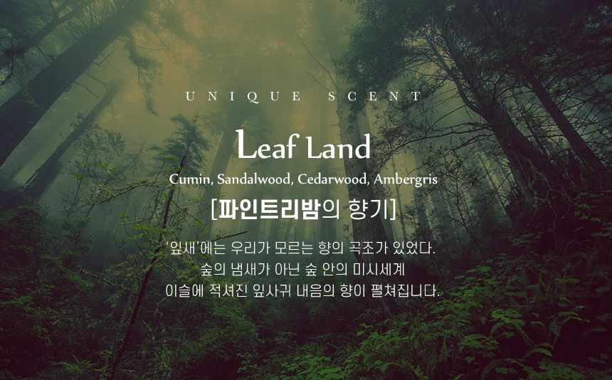 夢幻泡泡澡！韓國 Unique 香氛入浴球｜EWG認證成份