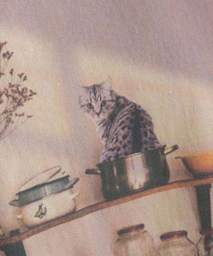 日本 Lupilien - 16支天竺棉 療癒印花法式袖上衣-貓咪的房間-薄荷