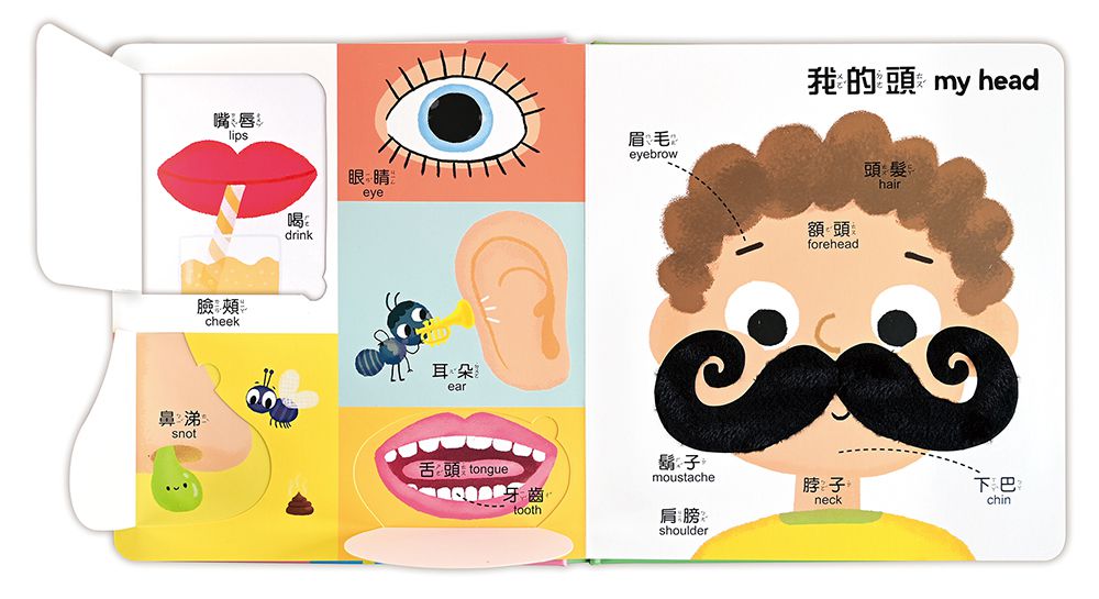 我的第一本100單字認知書(全套四冊)-有趣觸覺翻翻書