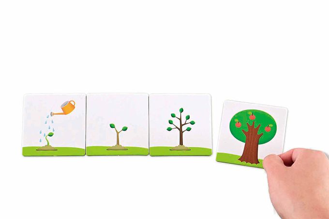 順序圖卡(支援多重點讀筆)-FOOD超人腦力開發圖卡教具*新版