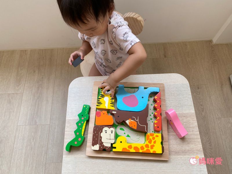 益智學習【英國 Le Toy Van、澳洲 Kiddie Connect】啟蒙教具