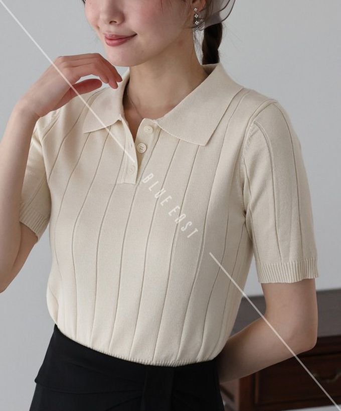 日本 BLUE EAST - 都會氣息寬羅紋針織短袖polo衫-黑