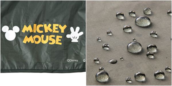 日本直送 ★ 超人氣卡通野餐好物！