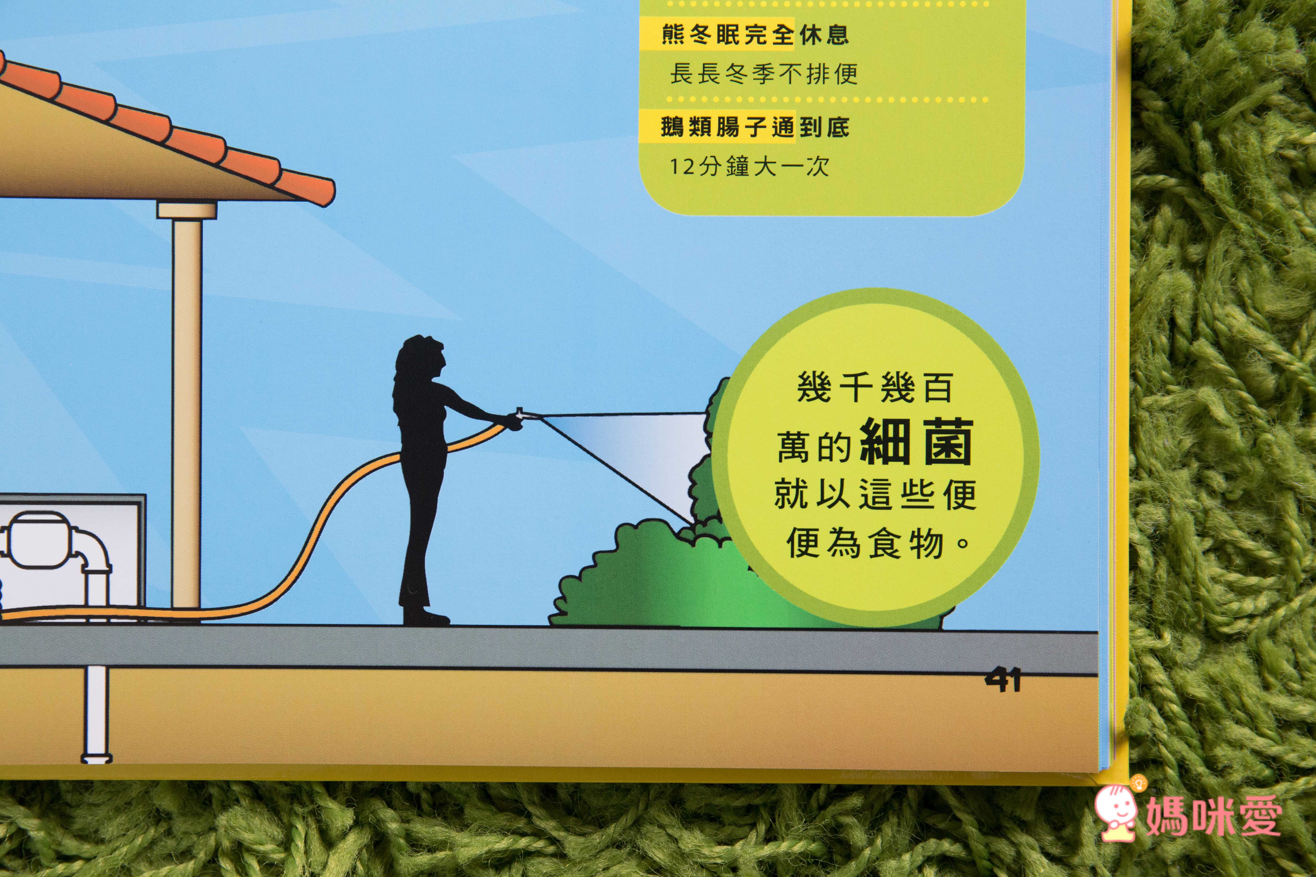 小小知識探險家 (精裝 / 128頁 / 全彩印刷)