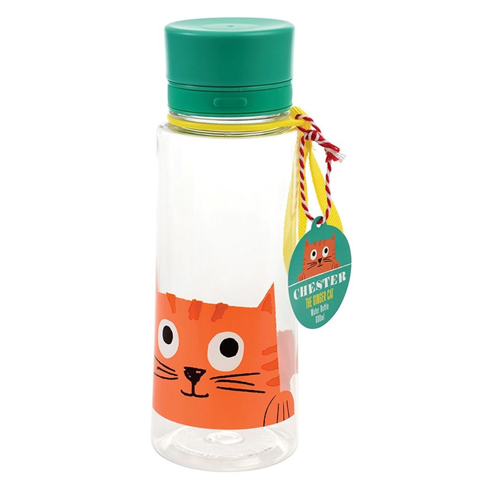 英國 Rex London - 直飲式水瓶(成人/兒童適用)-大眼橘貓(600ML)