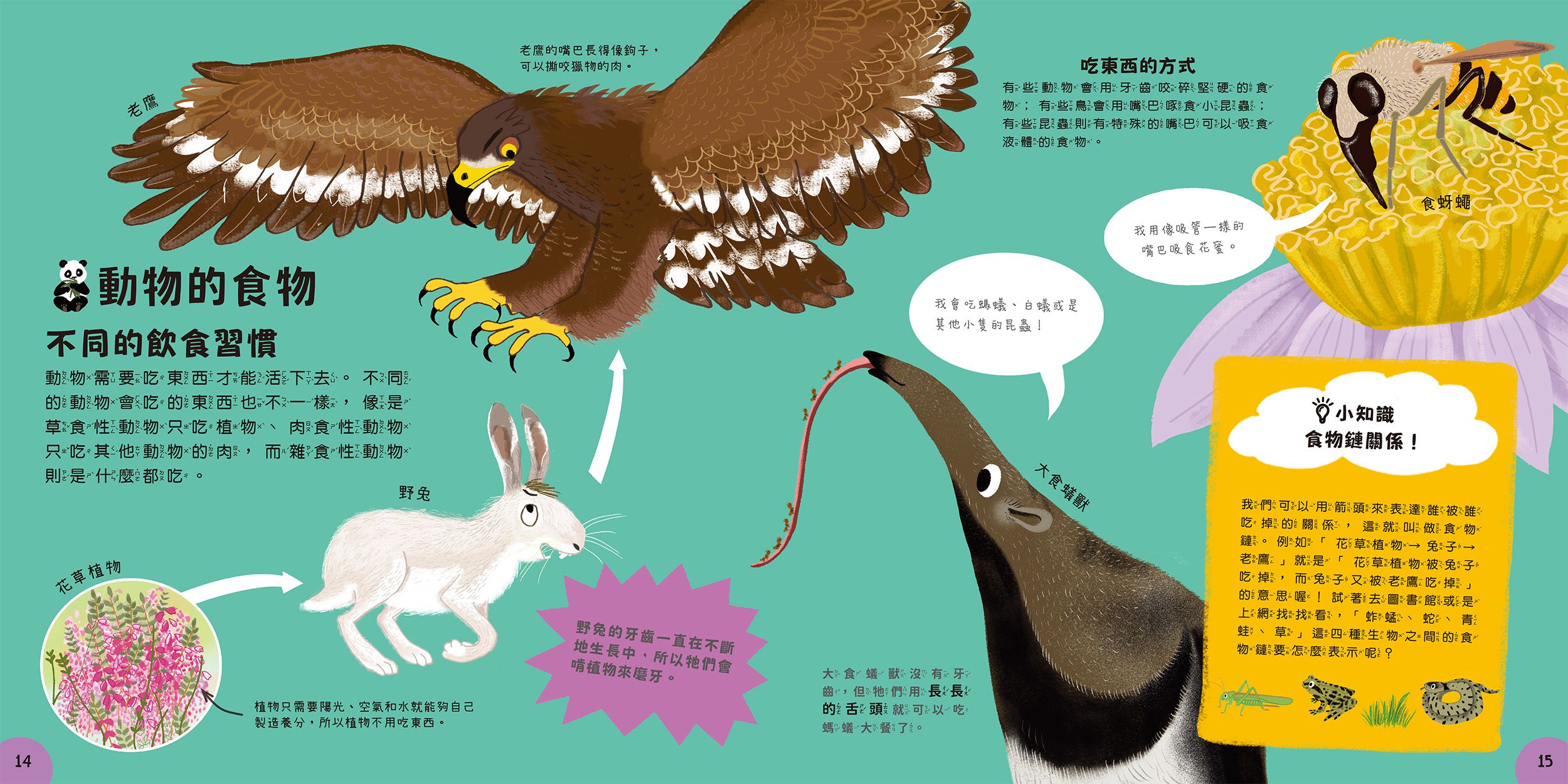 小小知識家的百科書套書10冊(書盒版)