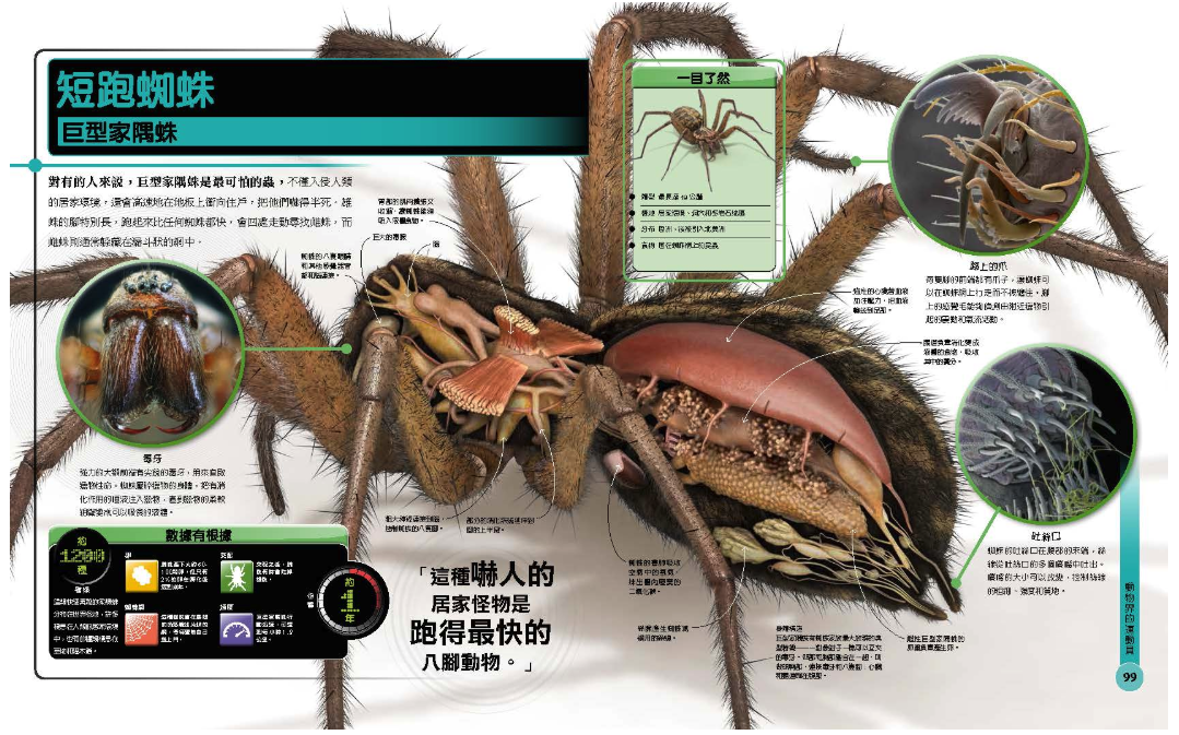 超能力昆蟲百科：地球上最大、最快、最致命的昆蟲與節肢動物 (精裝 / 208頁 /全彩印刷)