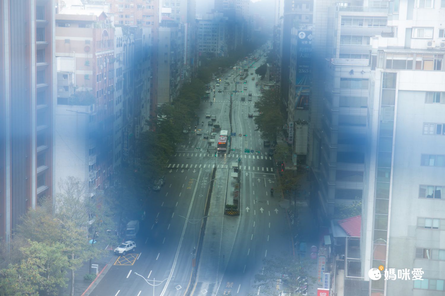 好萊塢明星愛牌 ✦【美國 Babiators】嬰幼兒時尚太陽眼鏡