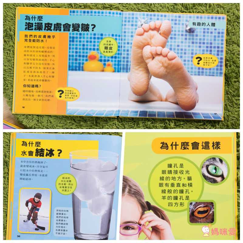 小小知識探險家 (精裝 / 128頁 / 全彩印刷)