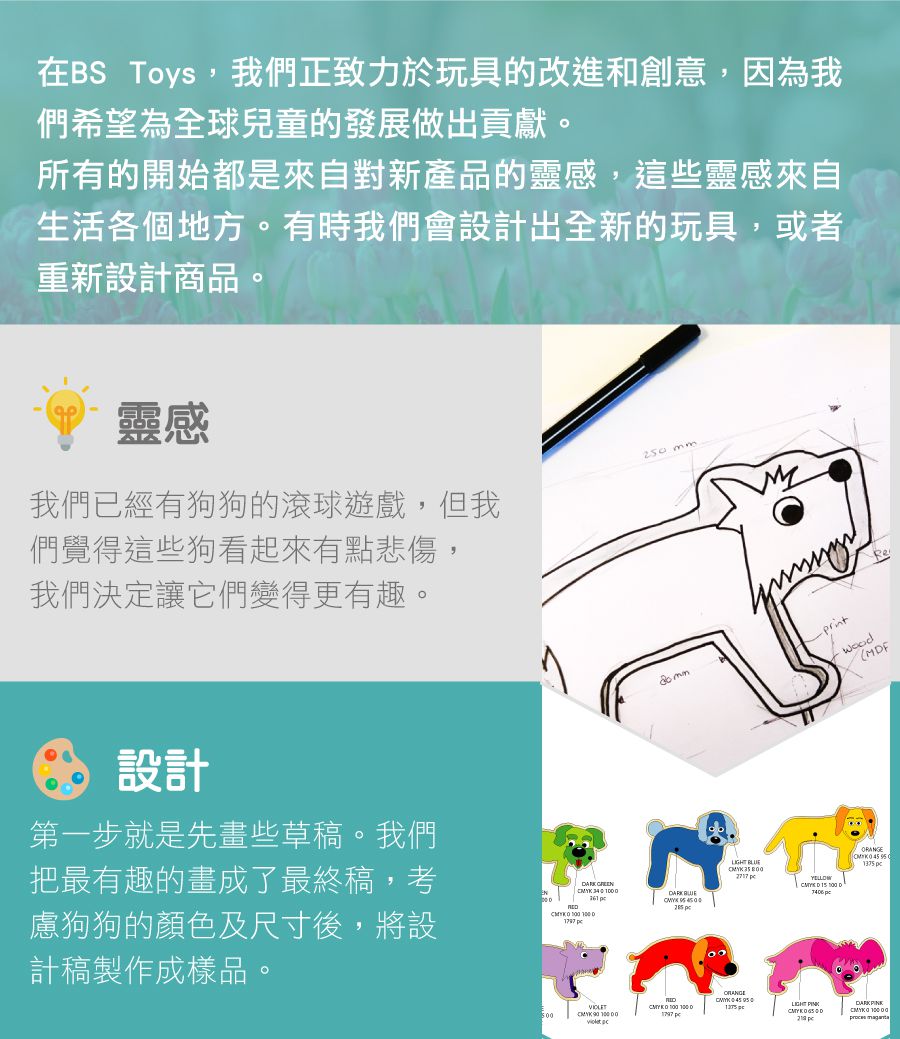 荷蘭BS - 機智的鸚鵡-8歲以上