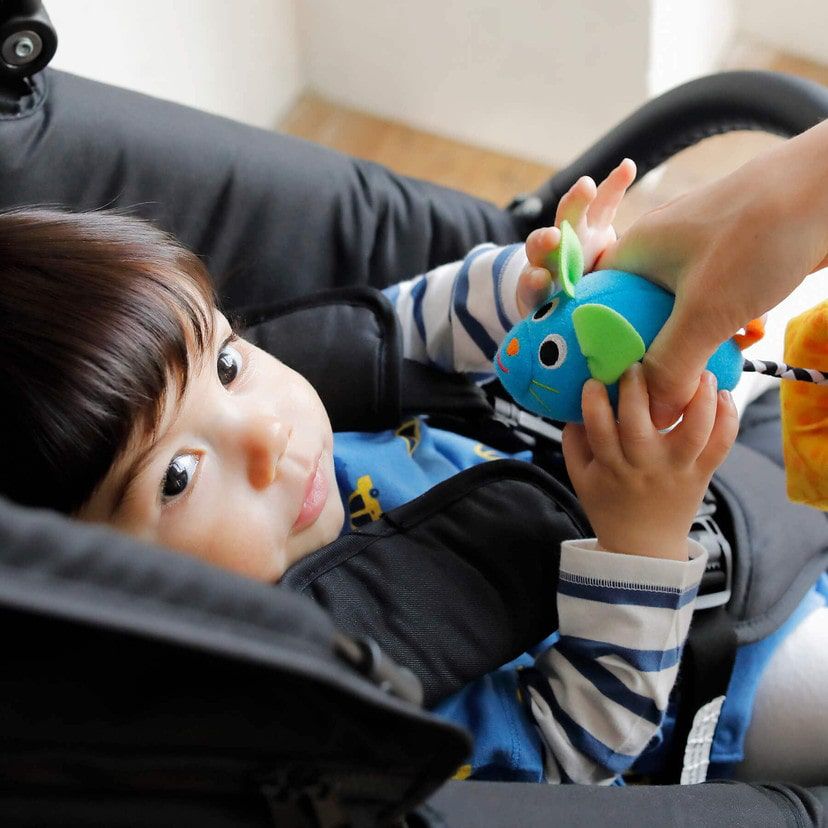 akachan honpo - Sassy震動-老鼠