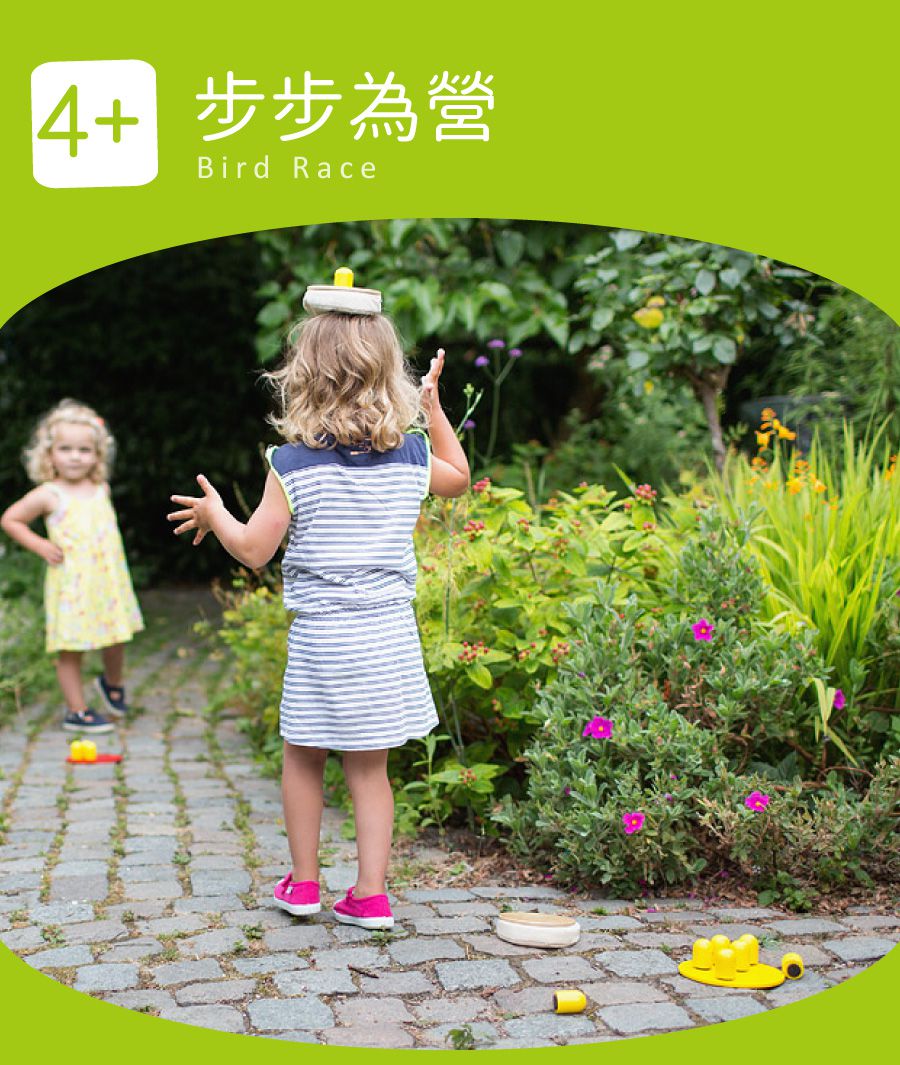 荷蘭BS - 步步為營