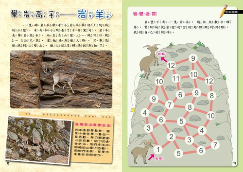 高山探秘-平裝/附注音/貼紙+紙卡-全彩 (5-8歲)