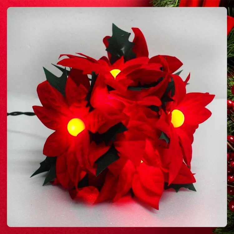 LED聖誕紅花珍珠燈串10燈(插電式)-暖白光-單花尺寸: 11-12cm，花與花間距 : 24cm，第一朵花到插座線長 150cm