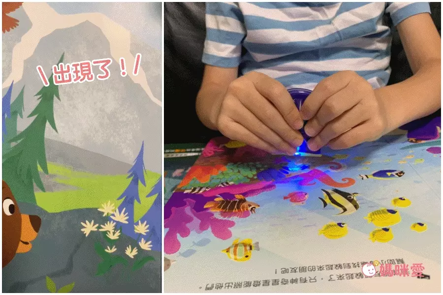 【禾流文創】拿起手電筒，來場夜間探險！『Spotlight！夜遊系列』