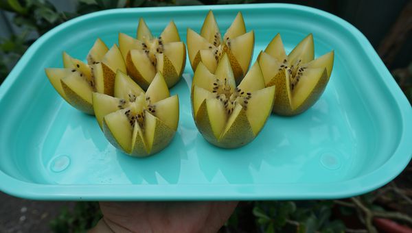 美國Kangovou 小袋鼠不鏽鋼安全兒童餐具