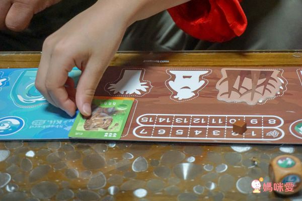 自然科學博物館授權【臺灣特有種】親子桌遊，認識台灣本土物種