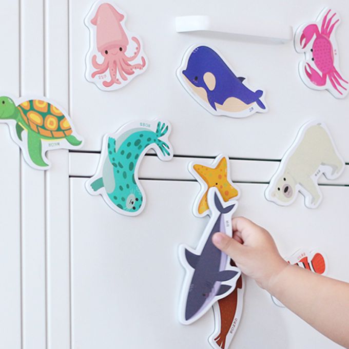 韓國 Ariati - 磁性貼盒裝組-海洋生物