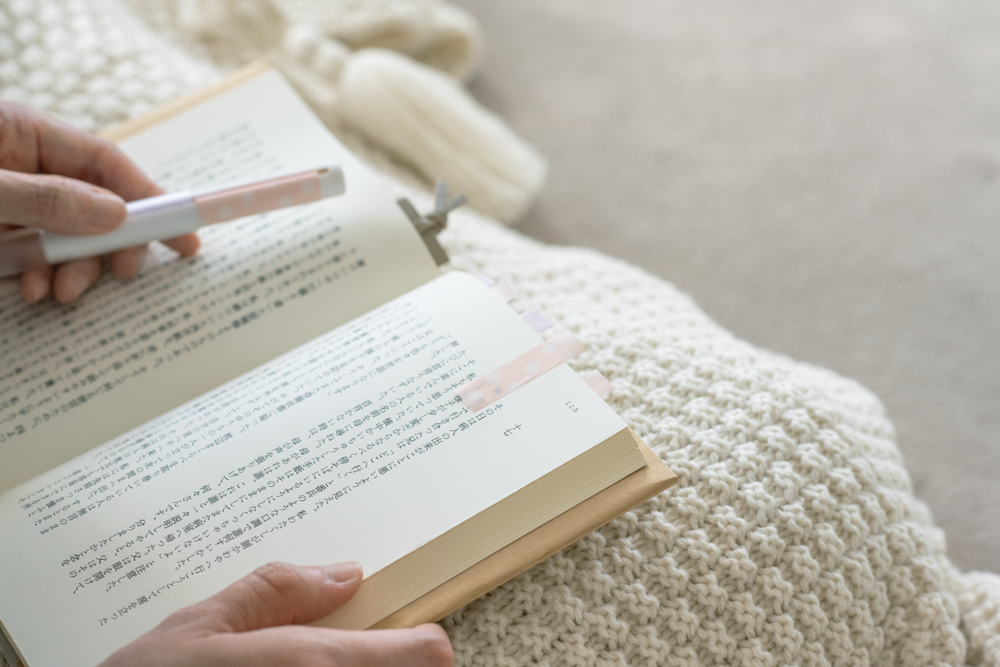 日本文具 Kanmido - LITTRO 便攜筆式口紅便利貼-文青線條-灰