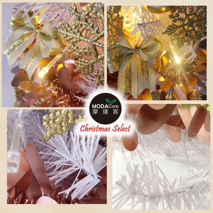 MODACore 摩達客 - 摩達客耶誕-2尺/2呎(60cm)特仕幸福型裝飾白色聖誕樹 (香檳雙金系全套飾品)+20燈LED燈插電式暖白光*1/贈控制器/本島免運費