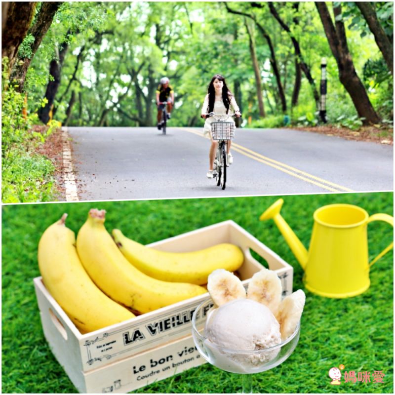 台中大毅老爺行旅 綠光客房兩大一小↘3000起